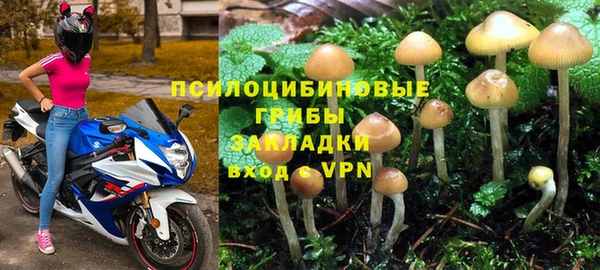 Альфа ПВП Алзамай