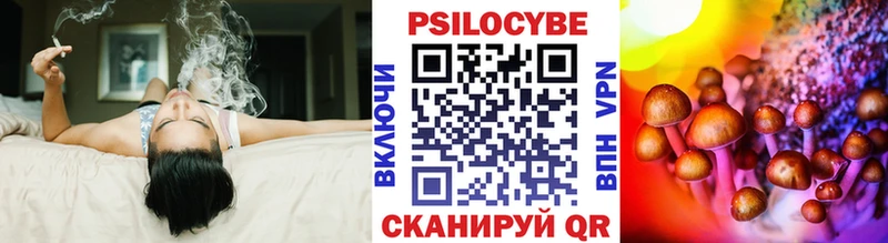 Галлюциногенные грибы Psilocybe  Черкесск 